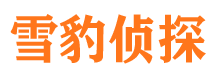 崇州找人公司